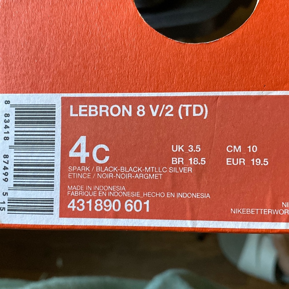 Lebron toddler